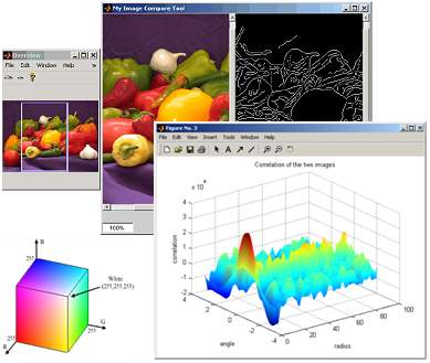 download ecology